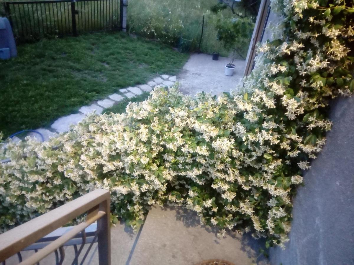 La Maison De Papagran Cir Charvensod-0007 Aosta Zewnętrze zdjęcie